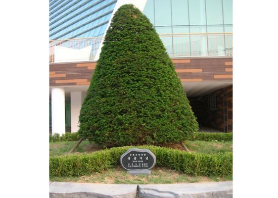 2-10. 상록수체육관준공기념